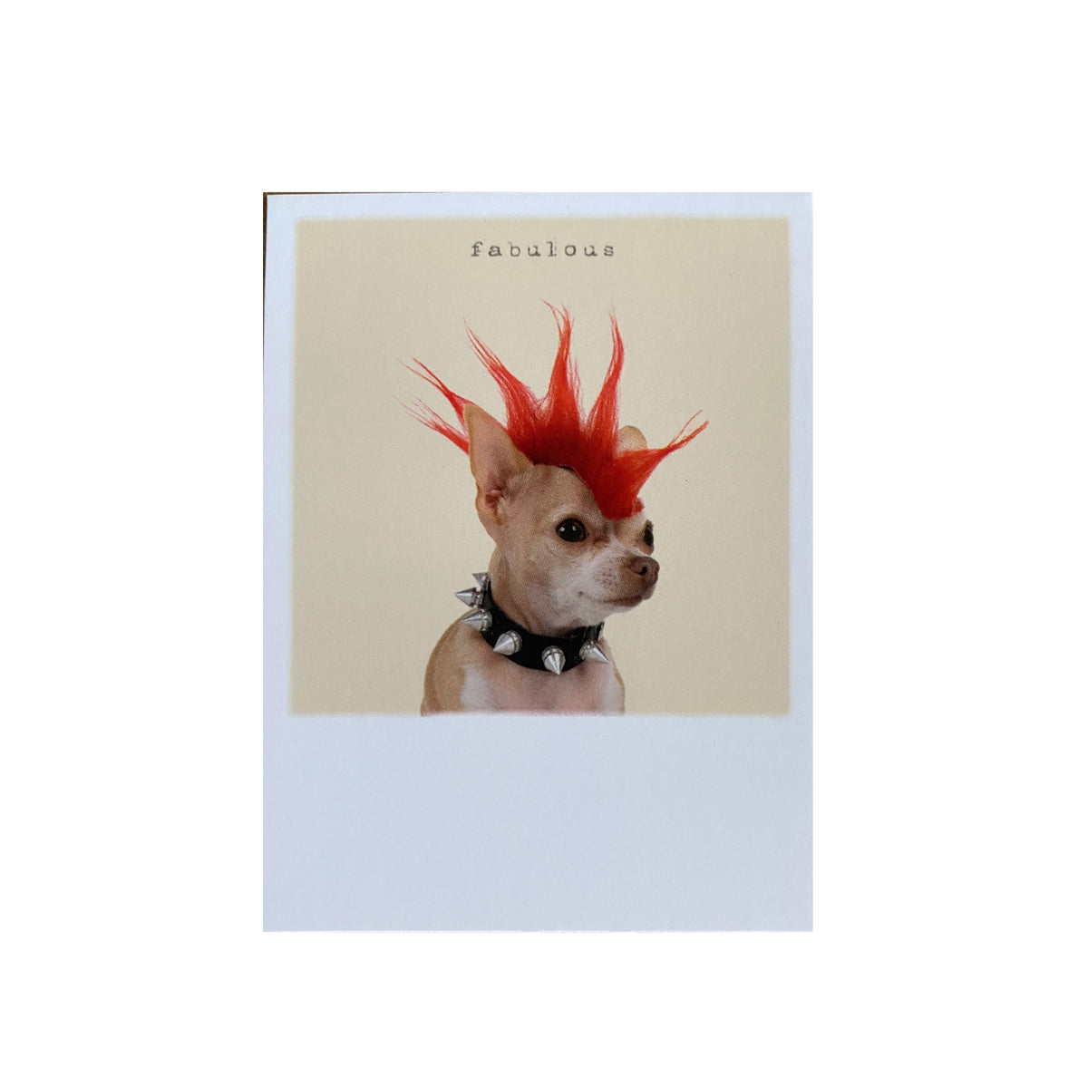 Mini-Postkarte &quot;Punk Dog&quot;