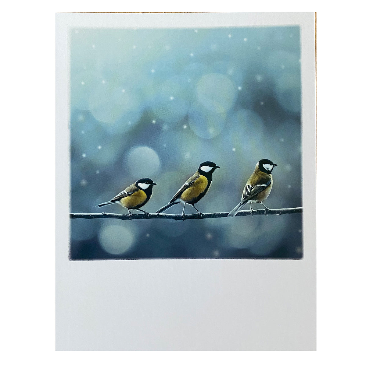 Postkarte Weihnachten &quot;Drei Vögel&quot;