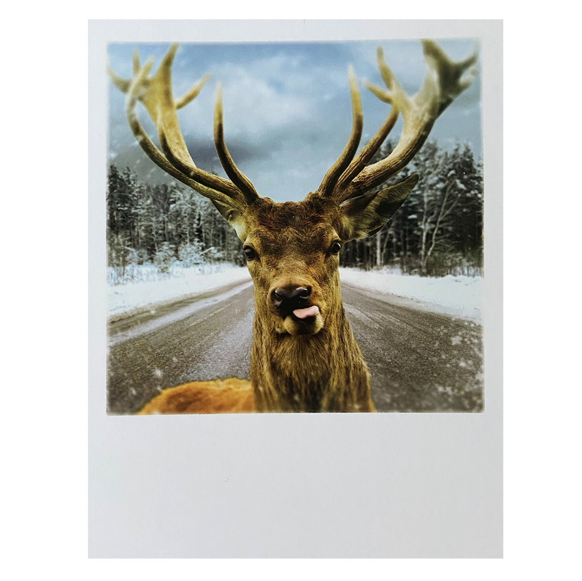 Postkarte Weihnachten &quot;Hirsch auf Straße&quot;