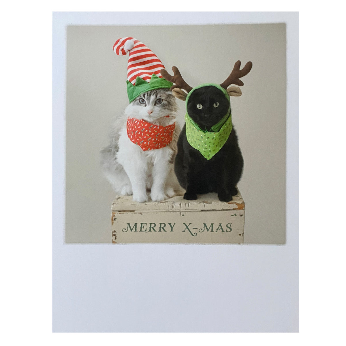 Postkarte Weihnachten &quot;Katzen-Weihnacht&quot;