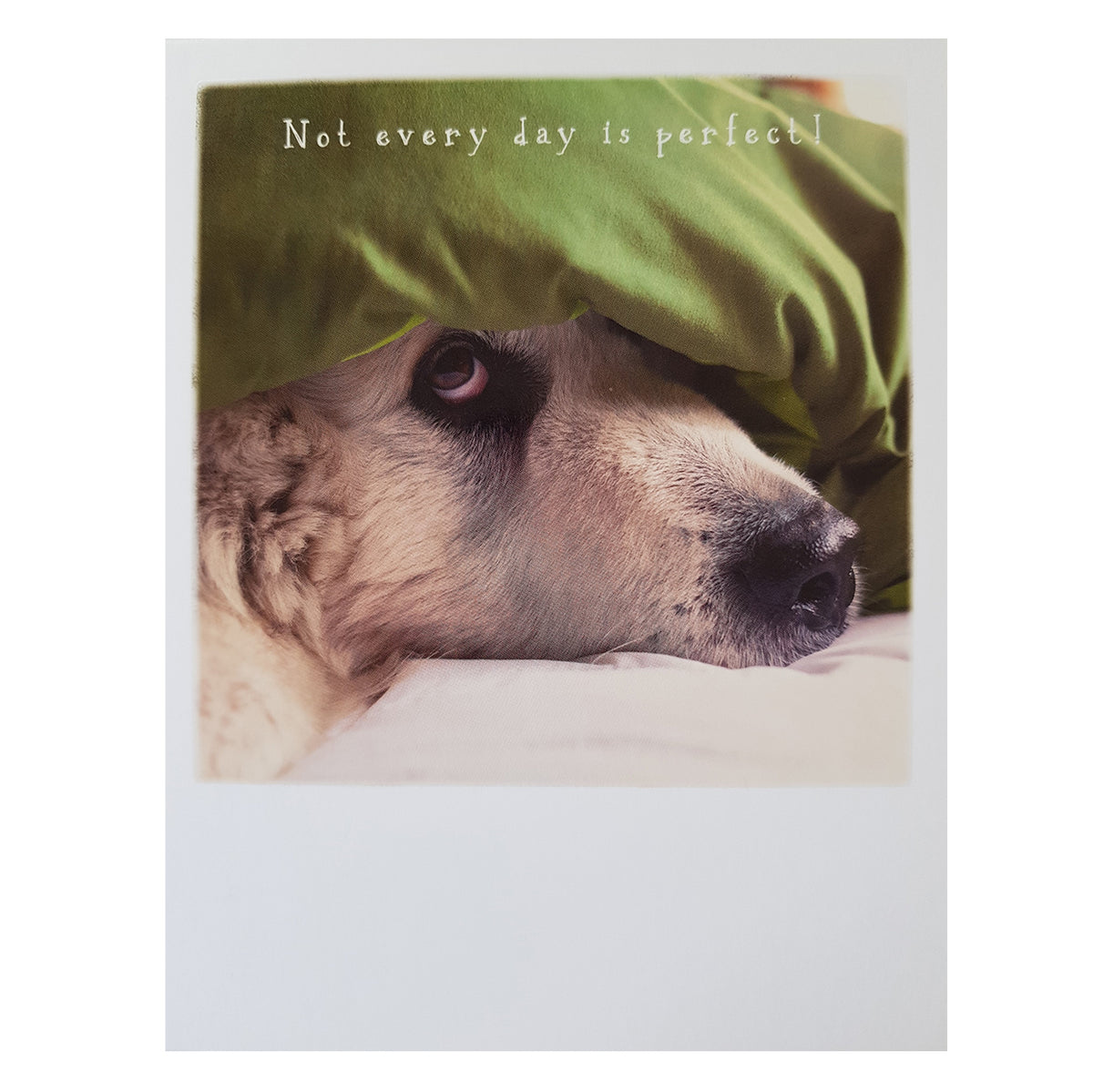 Postkarte &quot;Not a perfect day&quot;