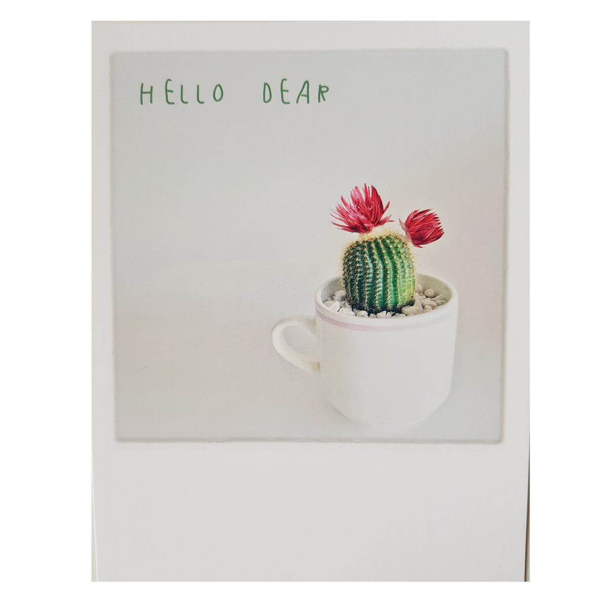 Postkarte &quot;Dear Cactus&quot;