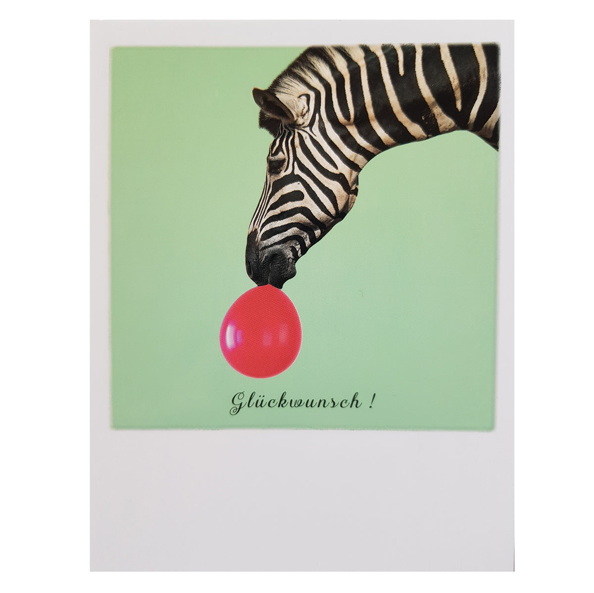 Postkarte &quot;Zebra&quot;